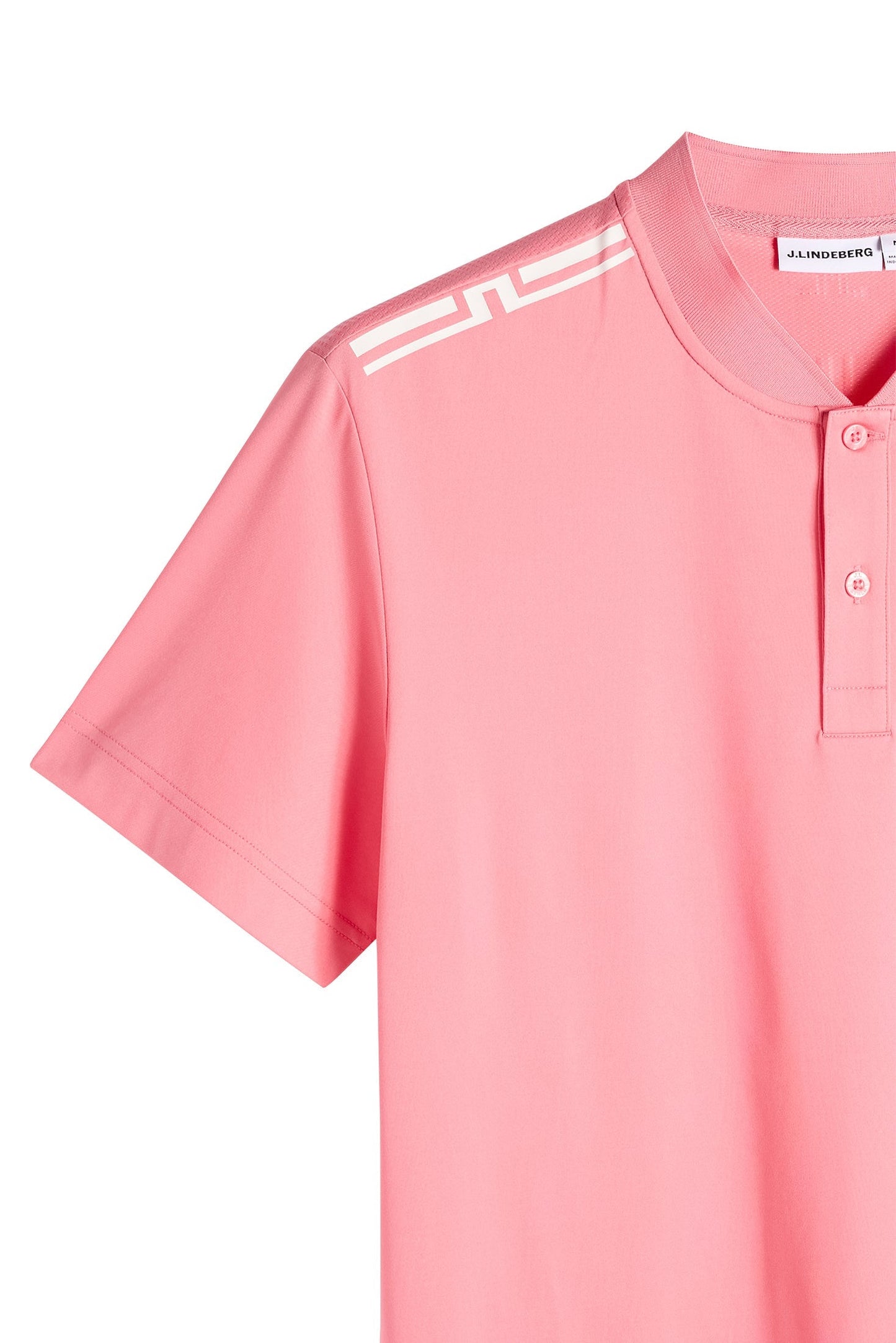 Josh Polo / Flamingo Plume