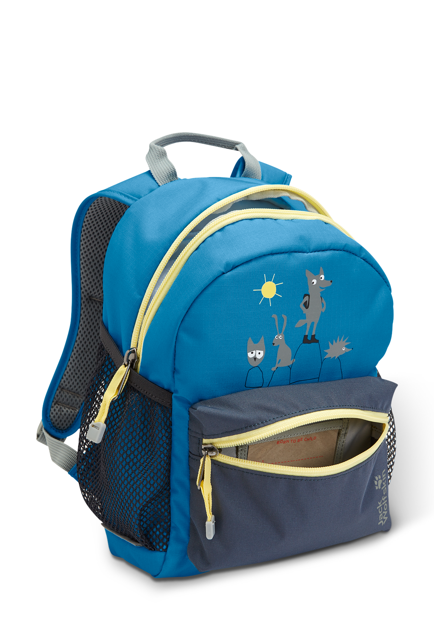 LITTLE SCOUT 10