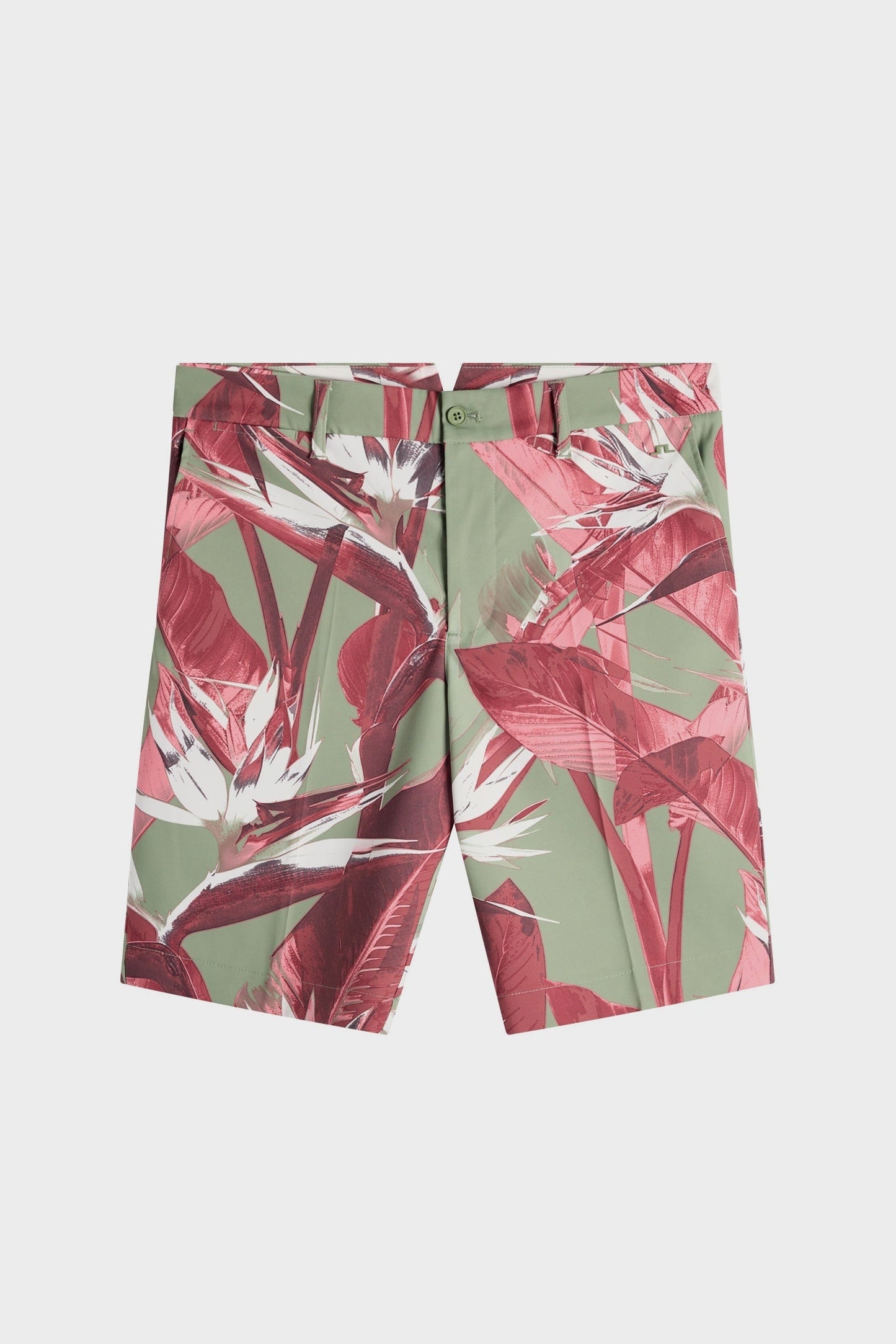 Eloy Print Shorts / Paradise Hedge Green M
