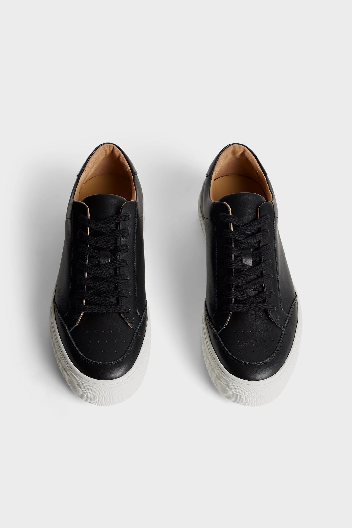 Art Signature Leather Sneaker / Black