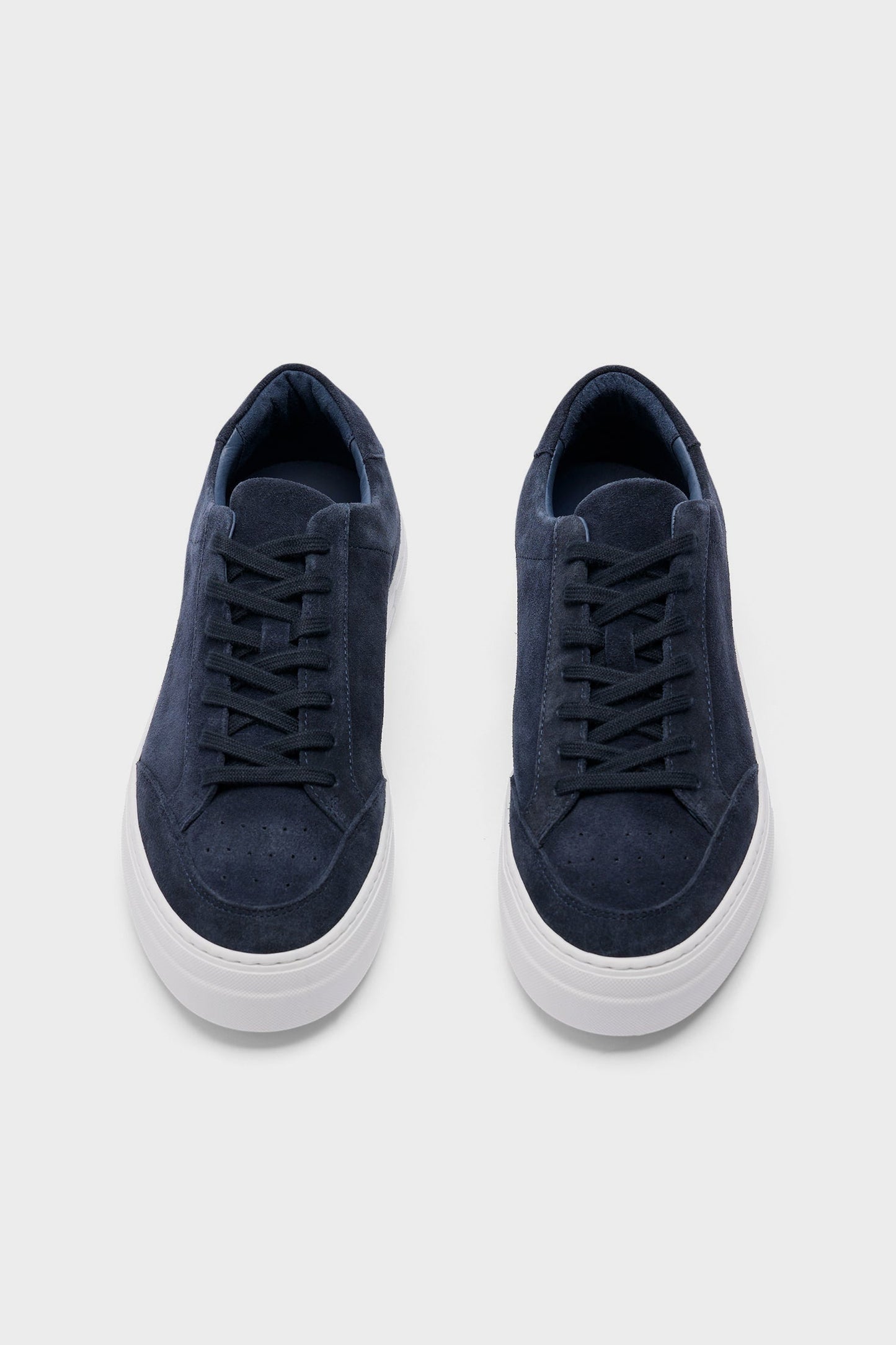 Art Signature Suede Sneaker / Navy